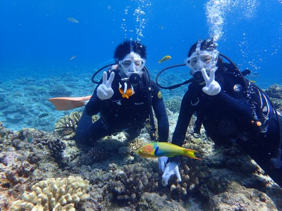 餌付けで魚も寄ってきます