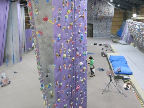 wɂ̓NC~OǁI[vNC~OuKĂ܂I