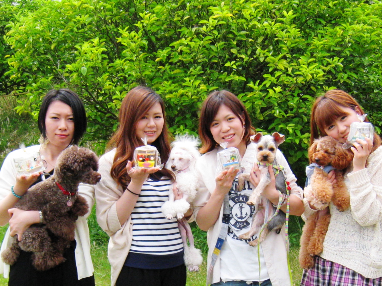 愛犬と一緒にアート体験が楽しめます♪