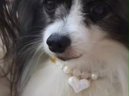 AOK!@񂿂ւ̒av[gɓ̎yY ɍœK