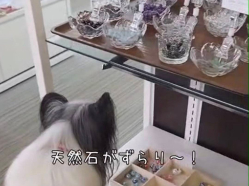 30ވȏ̃p[Xg[iVR΁j`[ȂǂIсA񂿂̃IWíulbNXv܂