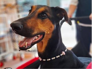 たくさんの天然石の中から自分好みの天然石が選べます!