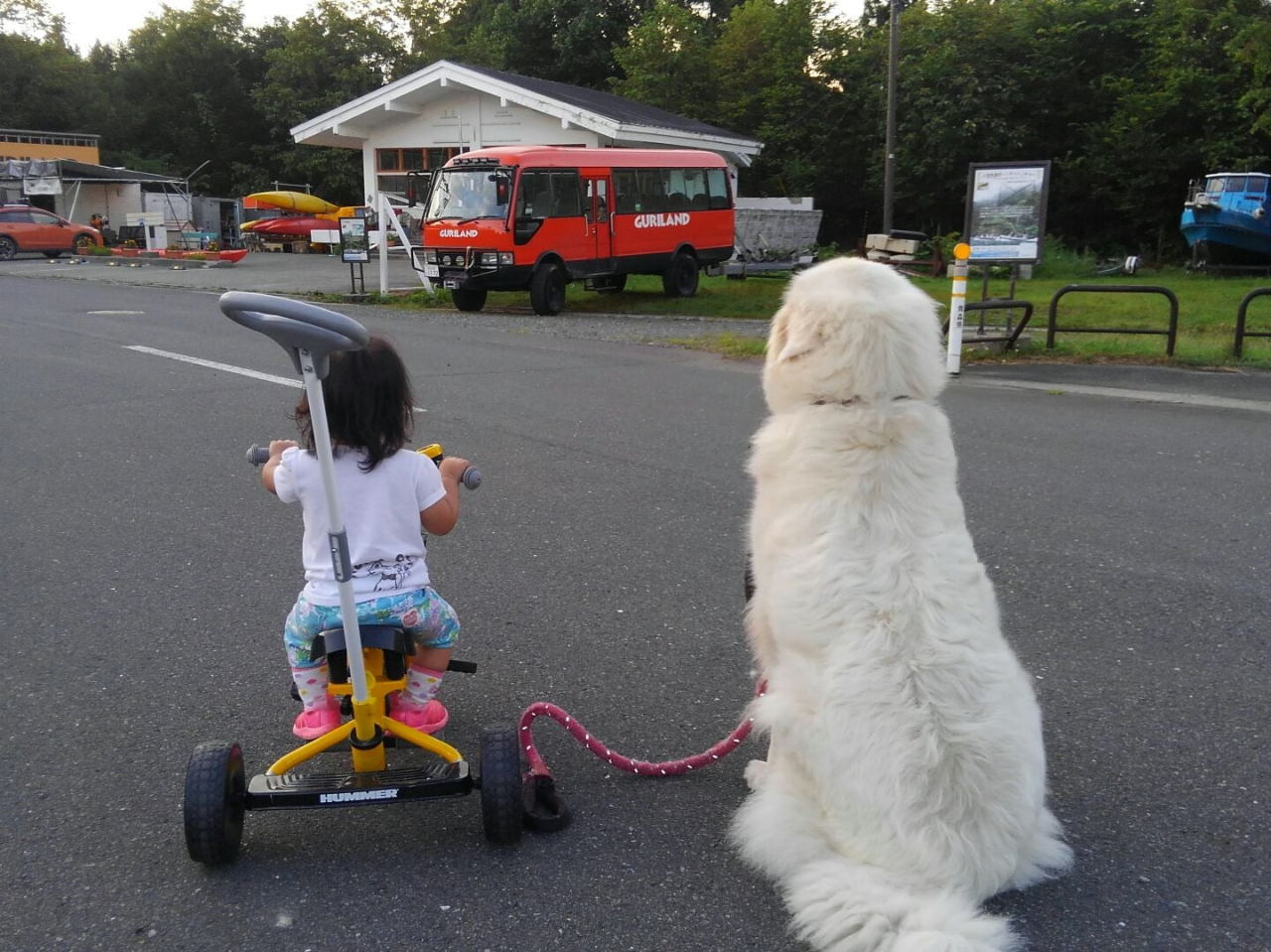 どこかの国のサーカス団にいる母さんを探しにジョリィと旅に出ます。