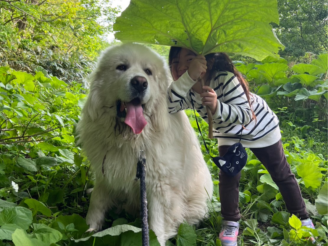 リオン(あだ名はベロちゃん)