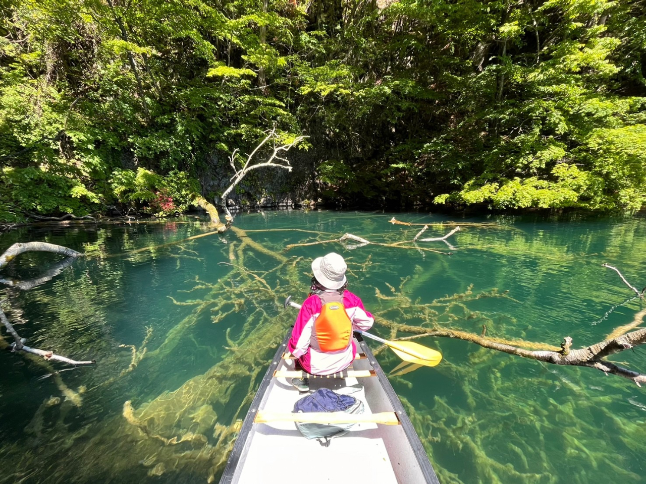 Ԃɗ]TAJk[cA[IXXłBCgJ̓]y߂܂B