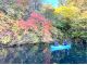 秋、凛とした空気の中、紅葉狩りを楽しむ。