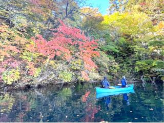 秋、凛とした空気の中、紅葉狩りを楽しむ。