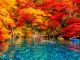 秋、凛とした空気の中、紅葉狩りを楽しむ。