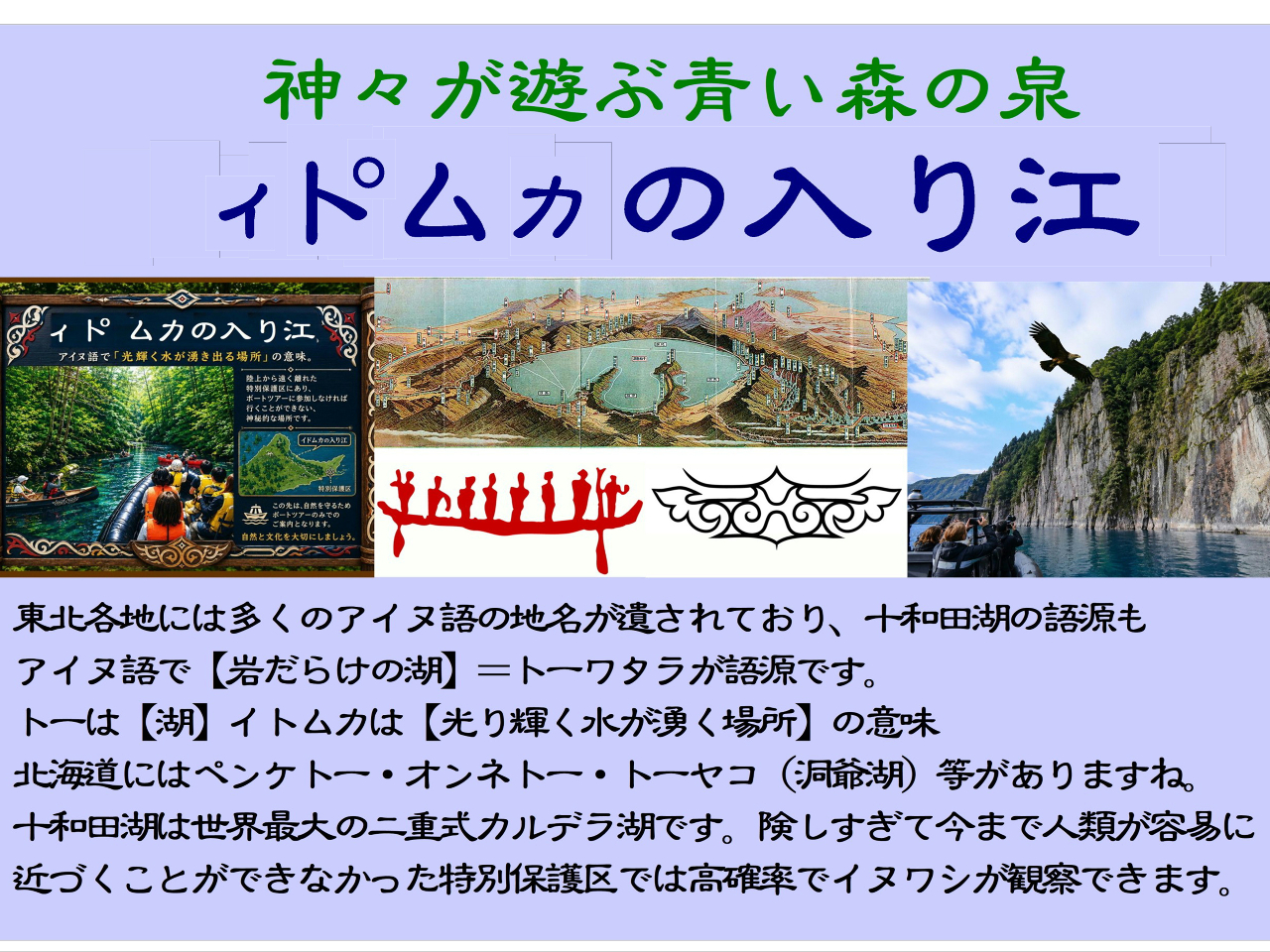 �B�g�����J�̓���]�ɍs�����Ƃ��ł���B��̃c�A�[�ł��B
