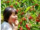 小さなお子様から、お年寄りまで十分にお楽しみいただけます。