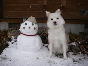 雪だるまもあそびに来ます。