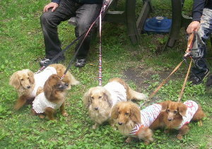 一緒に楽しく♪