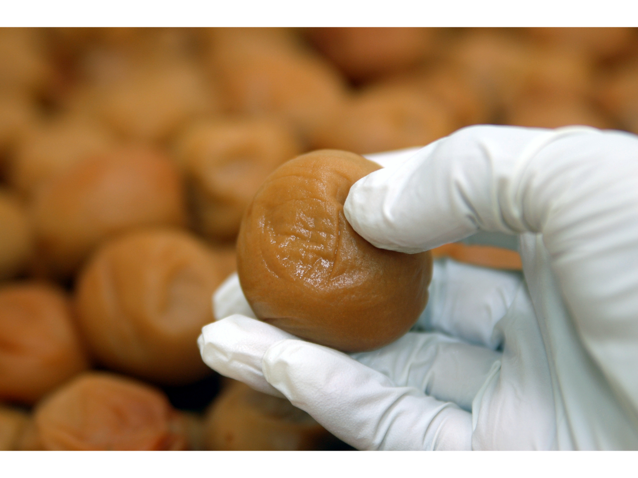 썂~͂ƂĂ_炩̂ł₳JɁc