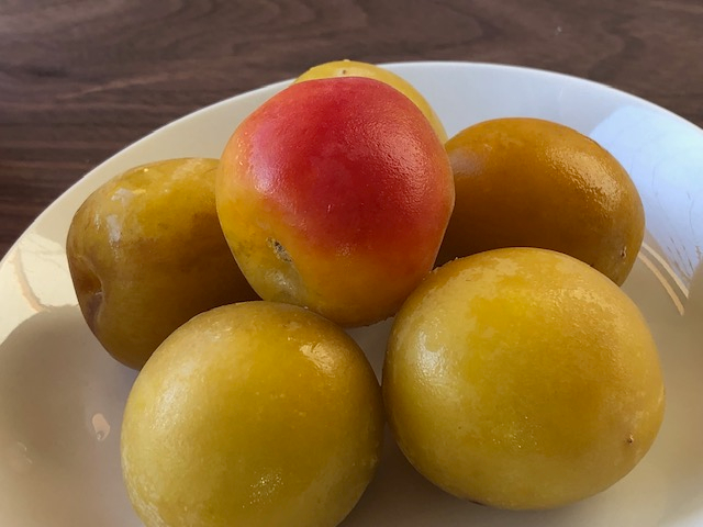 gp̂͂̔~B傫Ȏ̗Ⓚ썂~łB