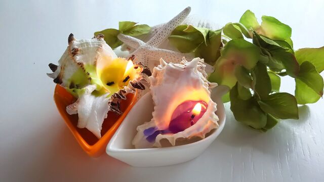 貝殻のキャンドル(販売品)