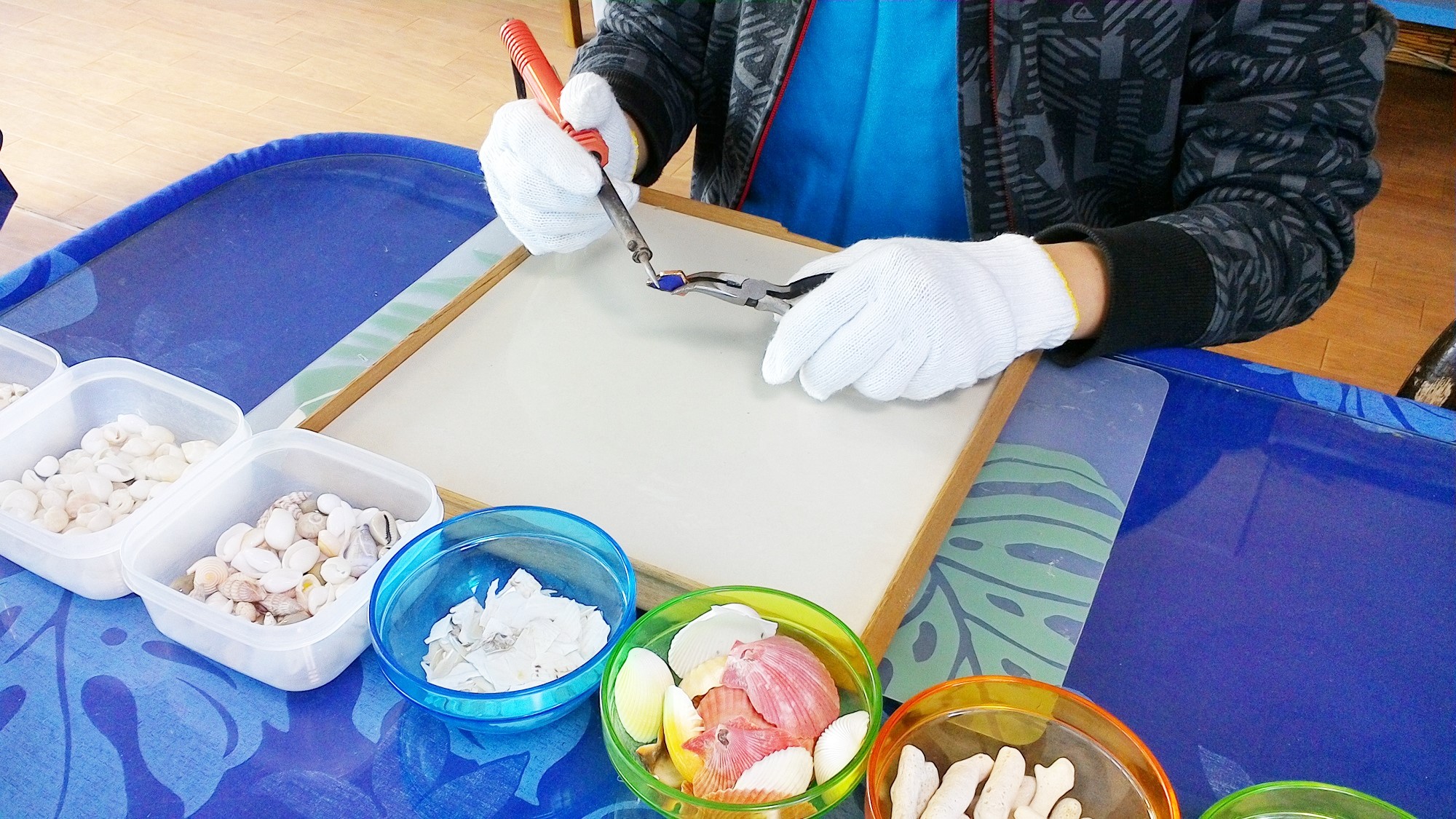 n_Đ쒆JɎwĂ炦̂ł͂߂ēGłS