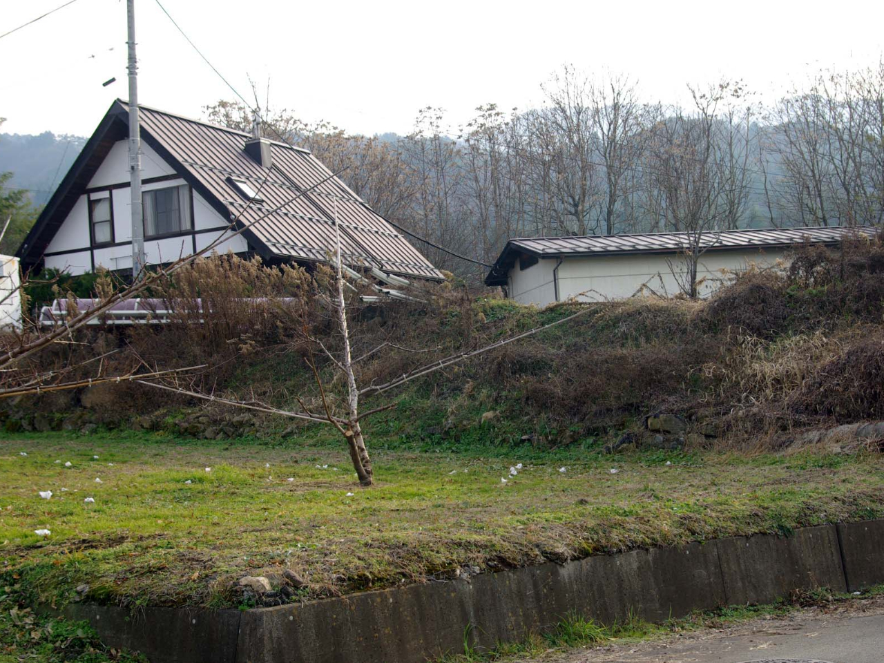 畑の中の小さな工房です。4月には桃の花でピンク一色に染まります。