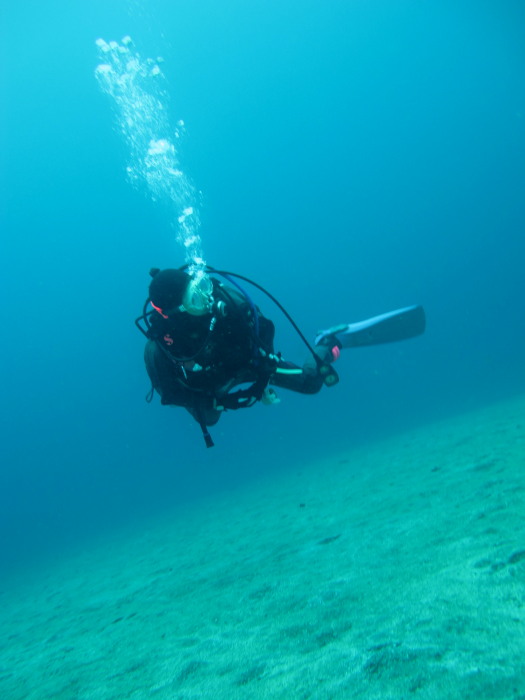 体験ダイビング