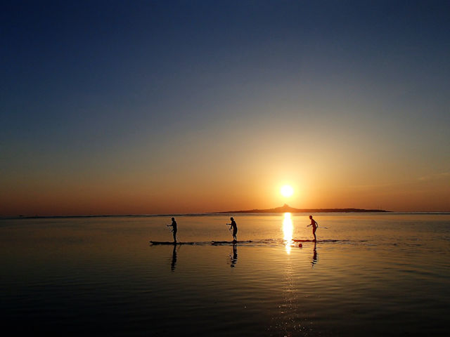 �V�[�Y������@�T���Z�b�gSUP