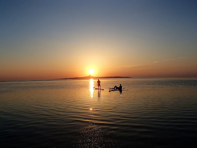 �����g����@�T���Z�b�gSUP