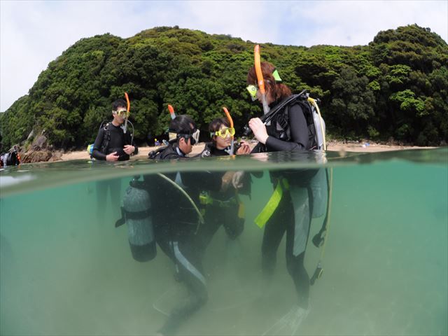 インストラクターと一緒に浅場でのスキル練習も楽しく安全に行っています。