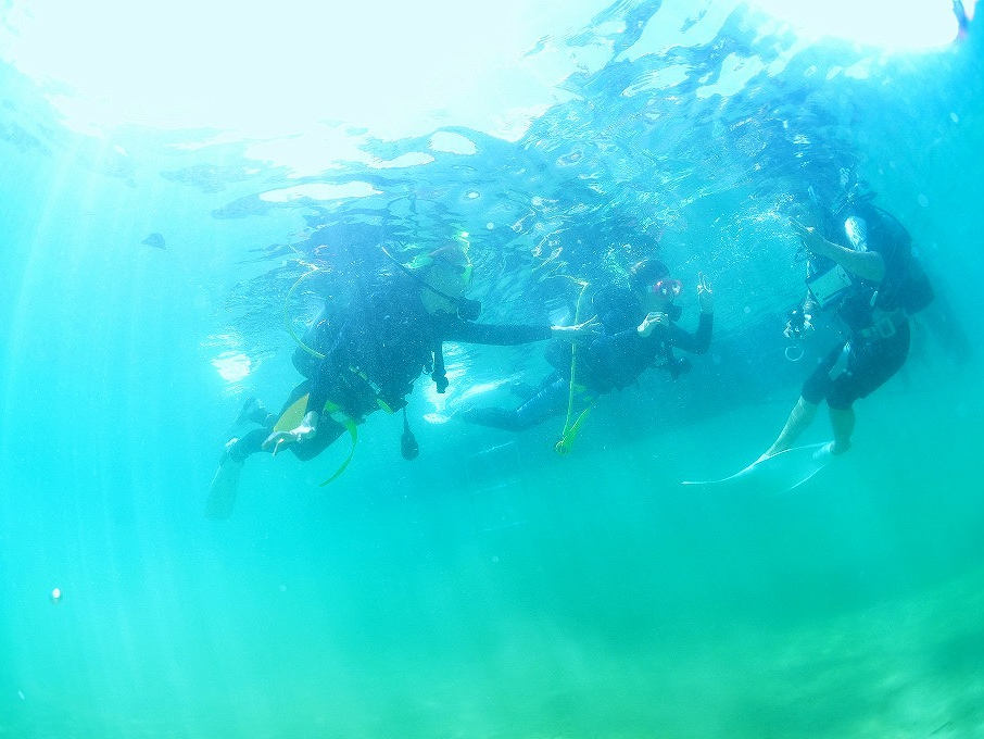 �K�C�h����Ɛ����c�A�[�ցI