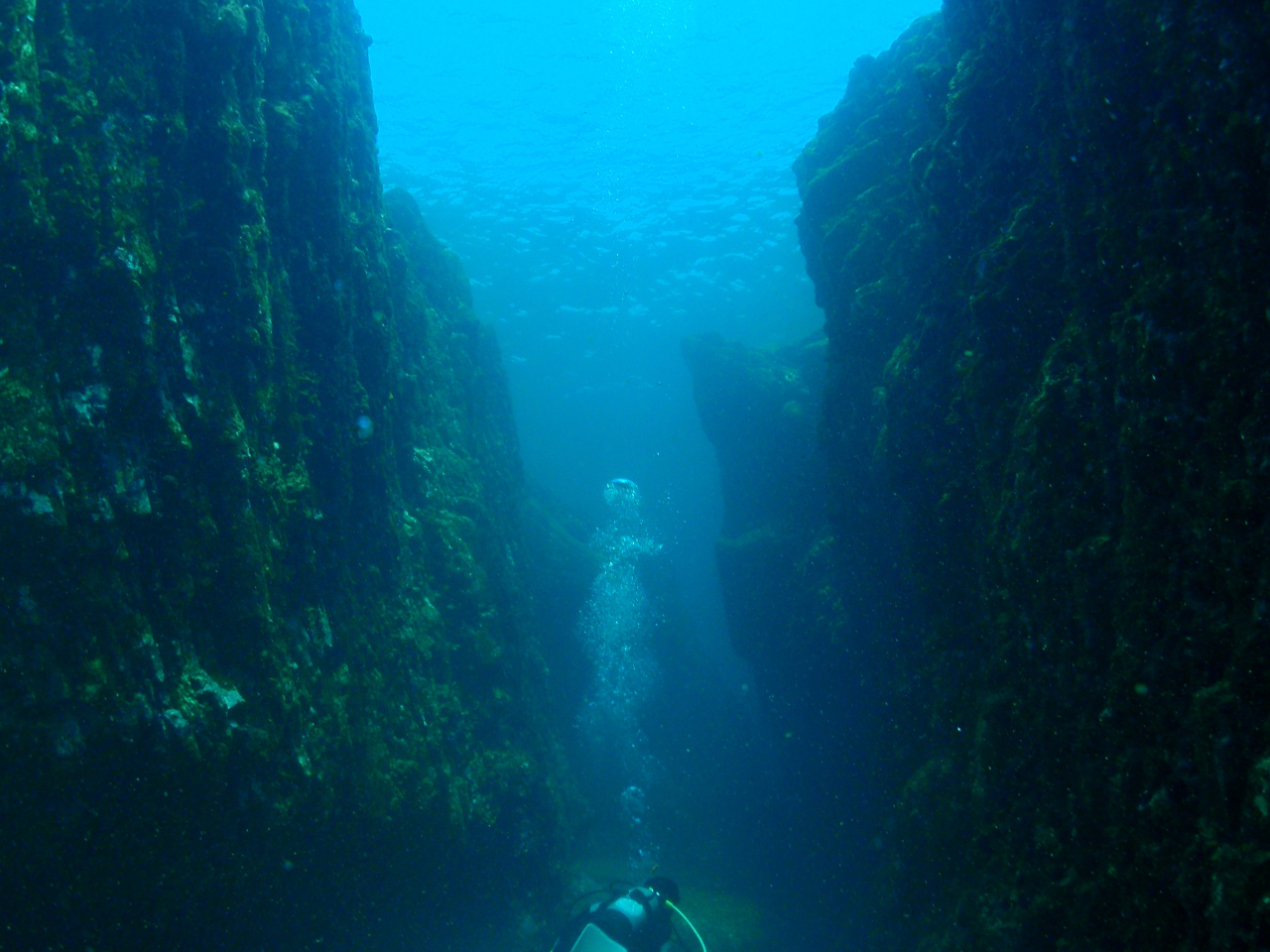地形も魅力的な竜串