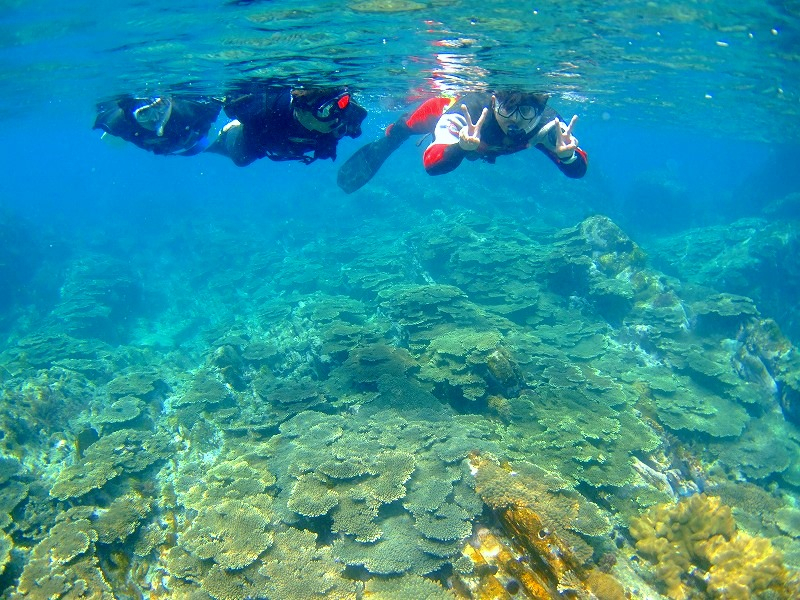 ���C�Ɣ������T���S�𒭂߂�