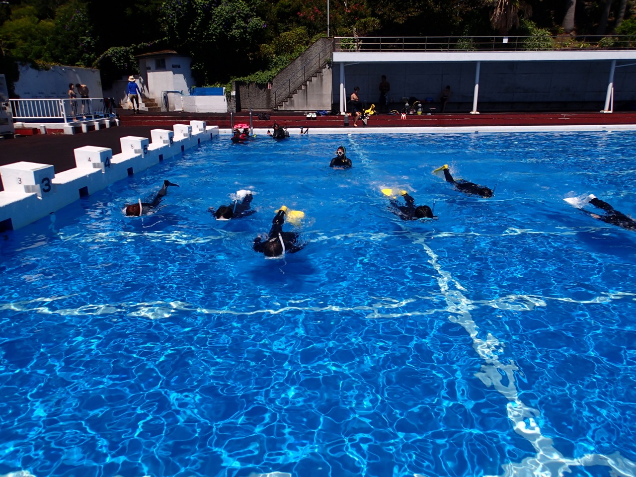 実際にフィンで泳ぎのトレーニングの基礎を学びます。ダイビングの安全性の向上だけでなく、楽しみに広がってきます!!