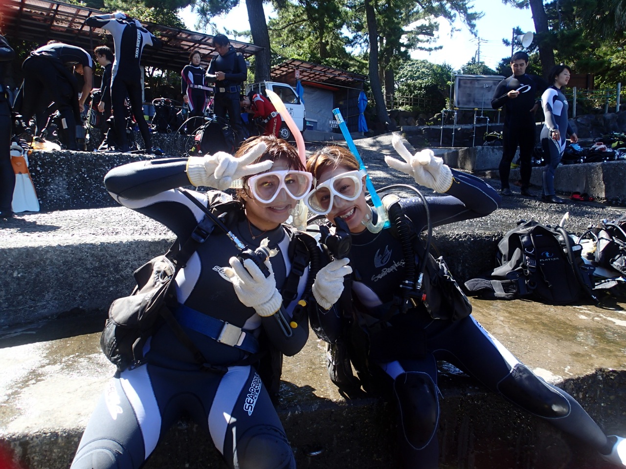 `^CAxeII@Ă悢̌XN[o_CrO֏ołII