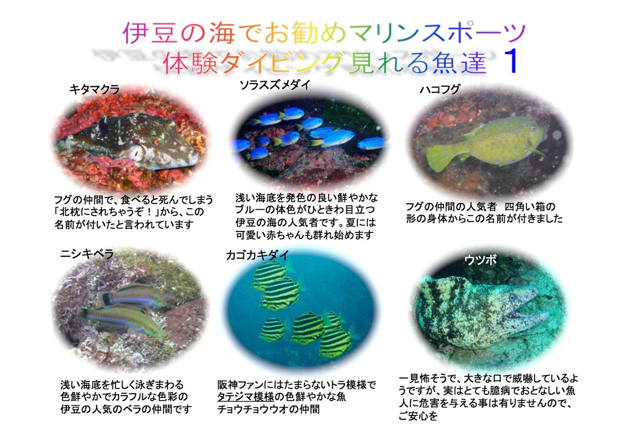 ȊC̐BƂ̏o҂Ă܂II@ł͂ق̈ꕔłII@ۂ͂̂ꂢȋBƂ̏oő労łII