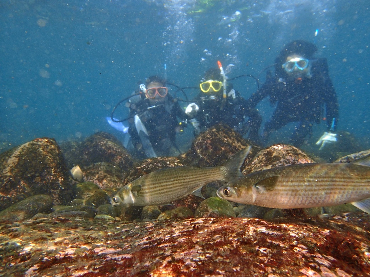 ڂ̑Oʂ߂鋛BāAƊII@ƂԂ̃_CrOłII