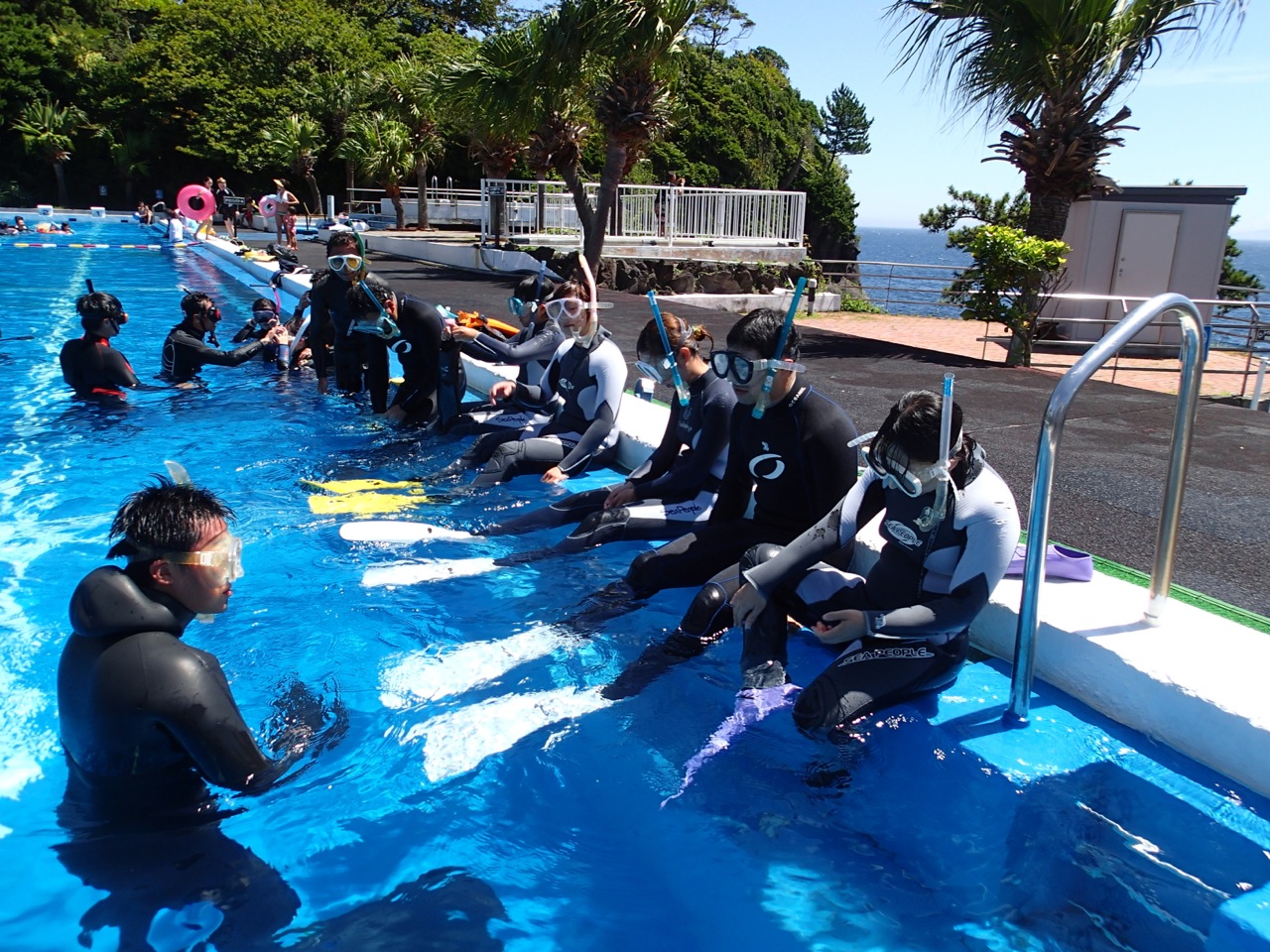 スノーケリングで伊豆の海を楽しもう!!