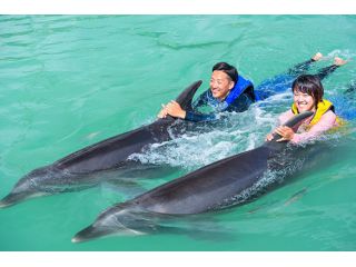 ドルフィンロイヤルスイム もとぶ元気村 じゃらん遊び体験