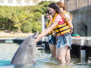 美ら海水族館入場券付き☆ドルフィンエンカウンター