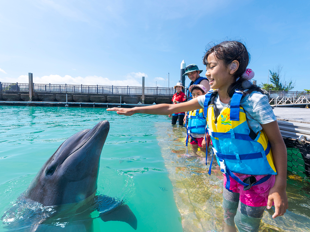 ドルフィンエンカウンターS（スイムプラス）5‐6月/もとぶ元気村