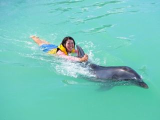 イルカの背びれにつかまって泳げる♪