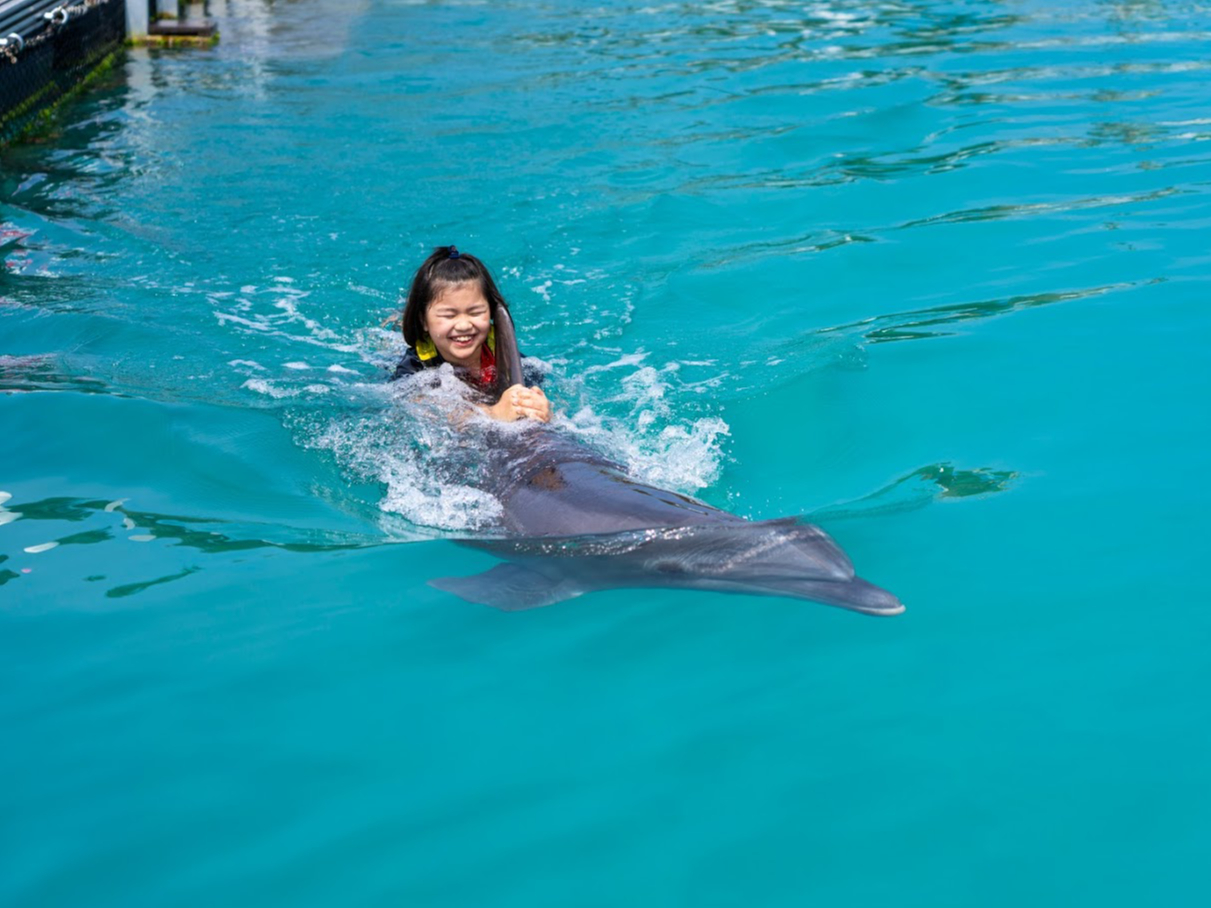 ṒACJƈꏏɉjł݂悤(^^)/