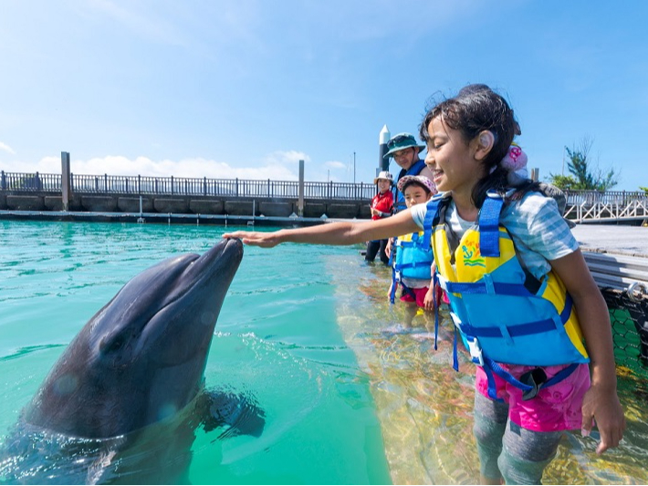 イルカとふれあえる♪