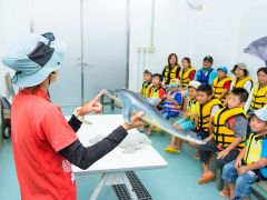 イルカについて学ぼう!!