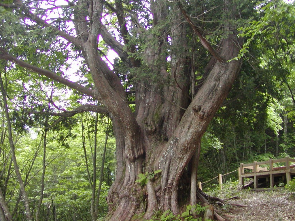 1000NA23mA7.6m̈̋؁BLvꂩ30