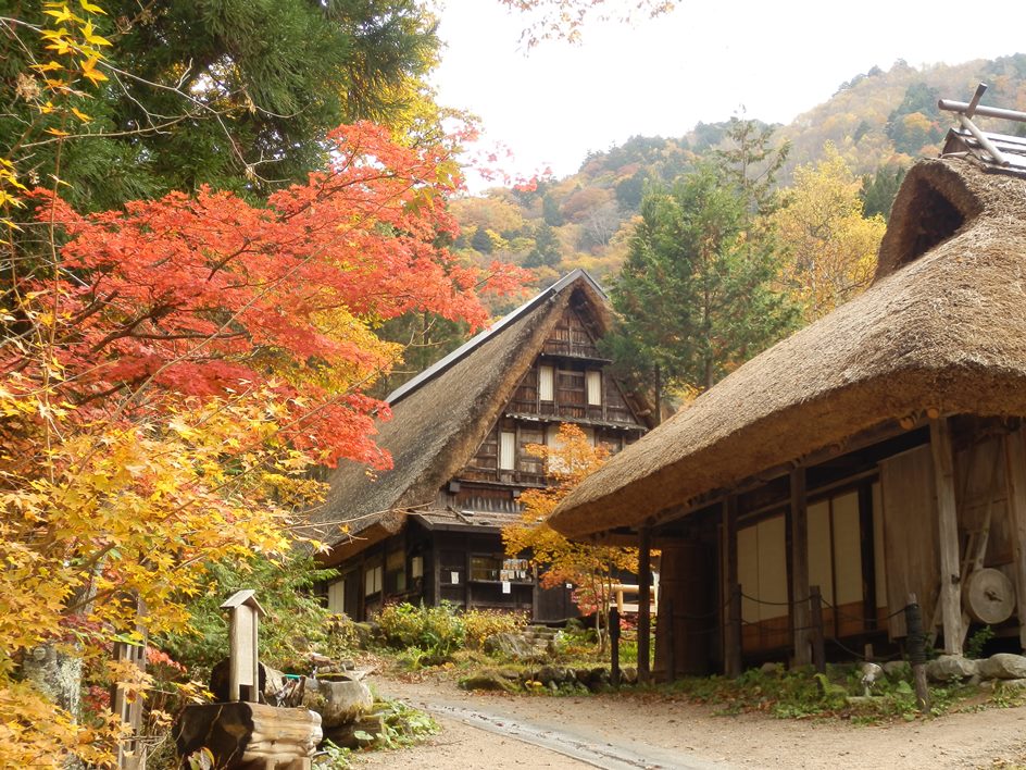 250NO̍薯ƂڒzwExe{݁B͘F̓zbƐS𗎂A{̌Âǂオɂ͂܂B_ЉŐÂɘȂތB