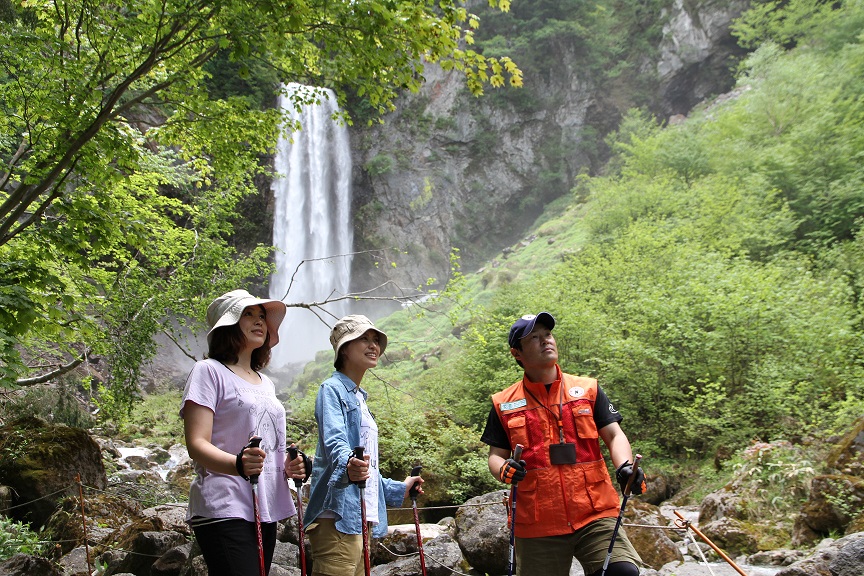 {̑SI̓̕}CiXCIՂ̖₵X|bg