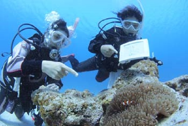 静岡ダイビング