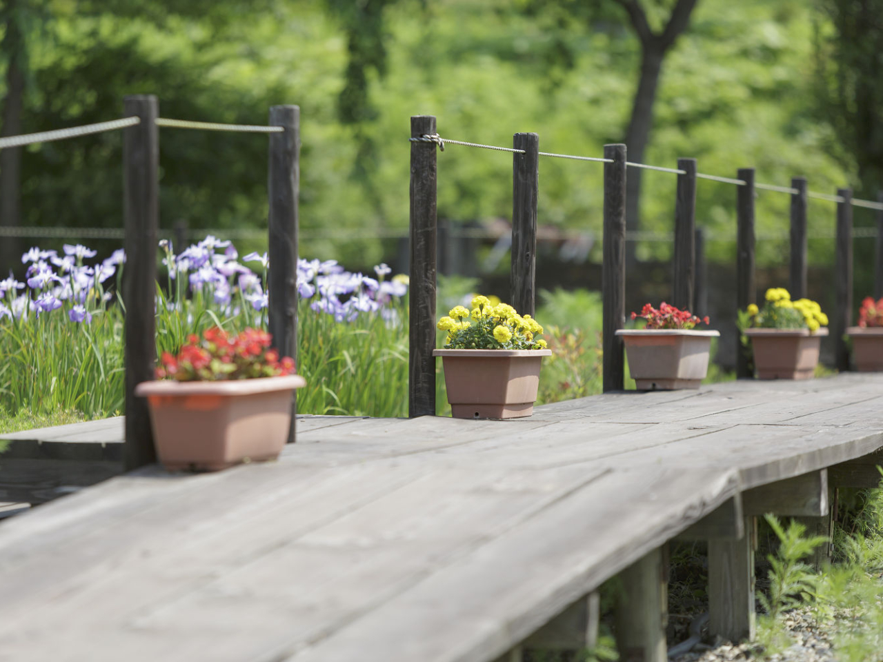 b܂ꂽRVŖiIL뉀ɂ͖LXїy߂܂