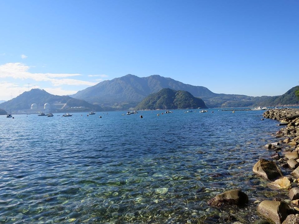 高浜は夏の海水浴でも有名な地域。美しい海を存分に楽しもう!