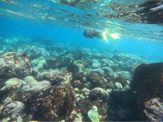 手前のゴロタゾーンは、ソラスズメダイやタカノハダイなど様々な種類の魚を見ることが出来ます☆