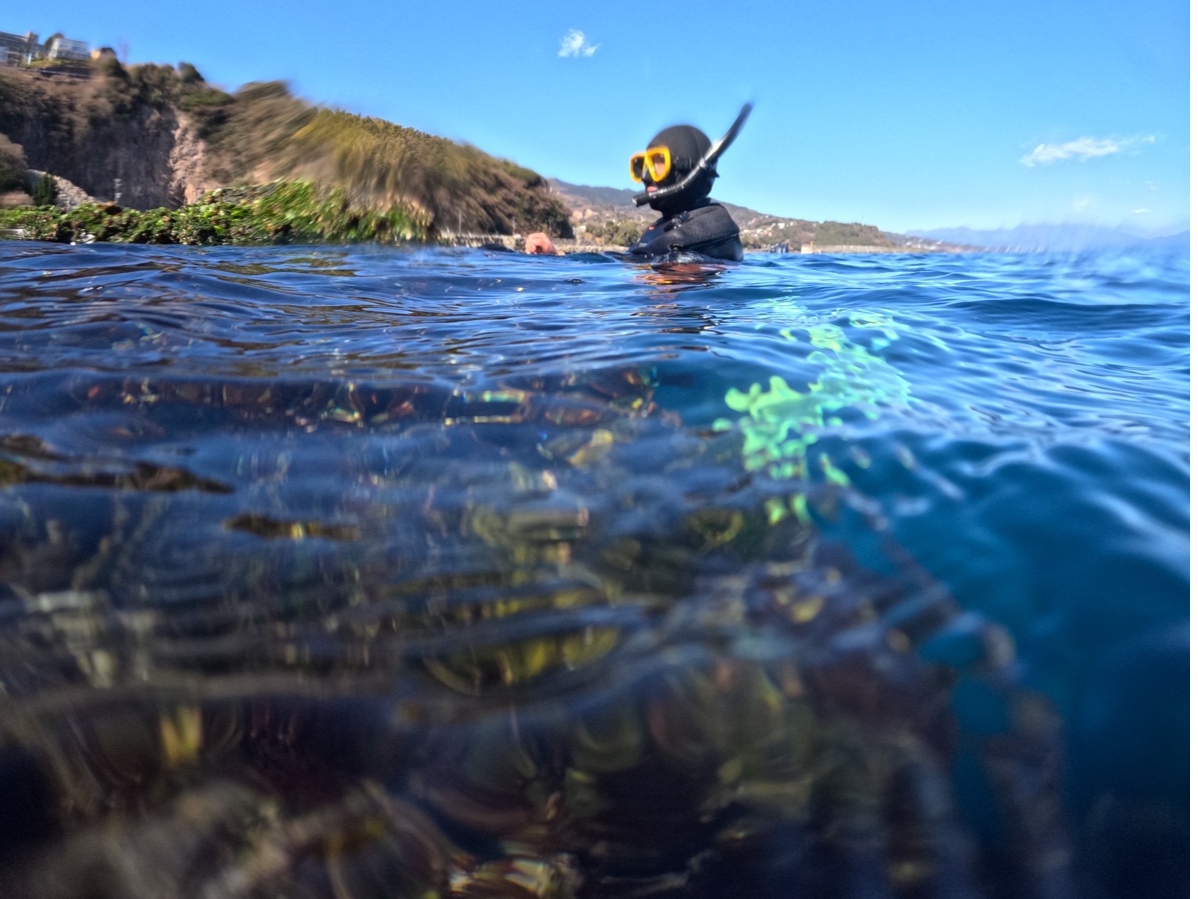 Ɋ̂łAւ̂悤Ȃ̂ɒ͂ŗVԂłOKI