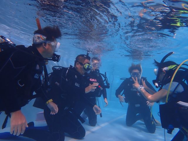 プール講習の様子