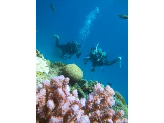 水納島のにはカラフルな珊瑚がいっぱいです!